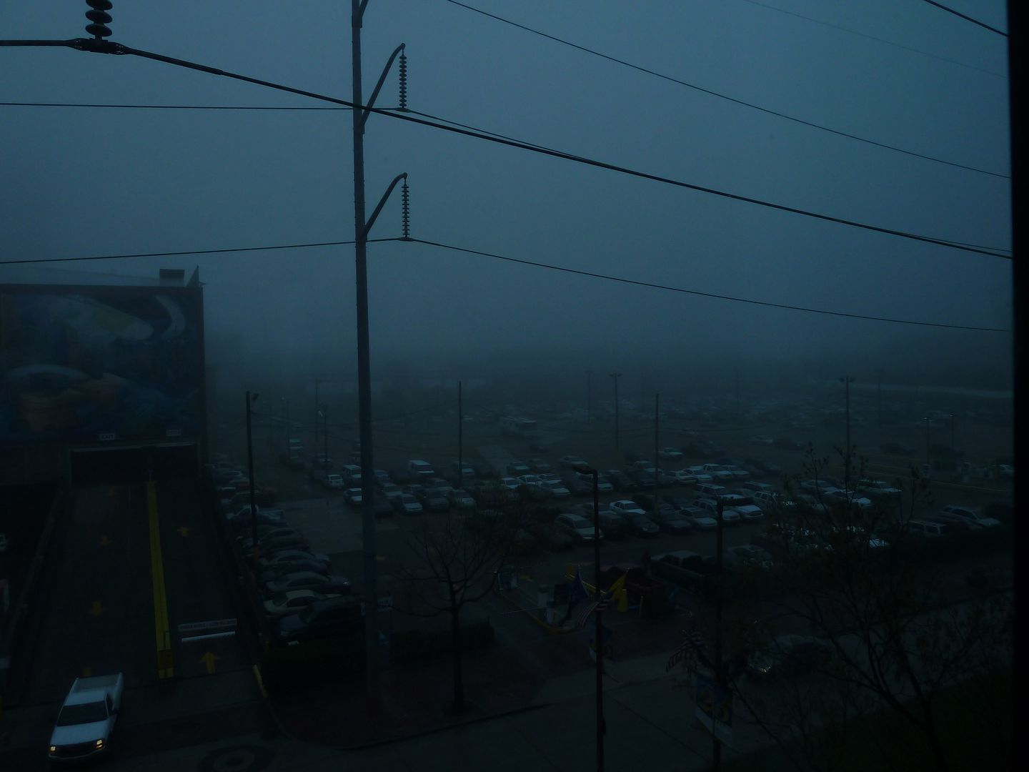 P1010915.jpg