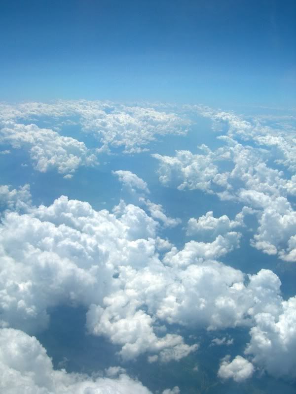 DSCN9959.jpg