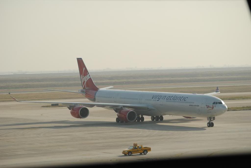 DSC_0233.jpg