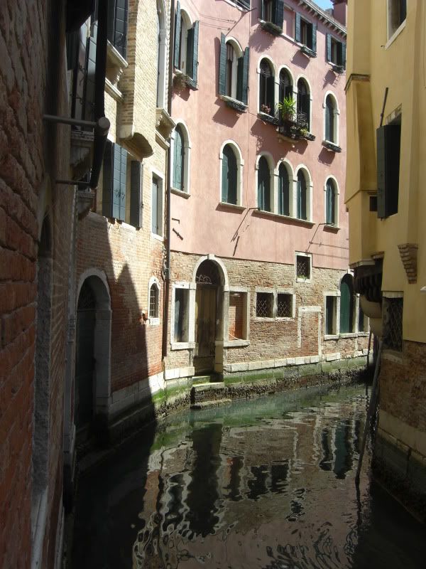 CIMG8470.jpg