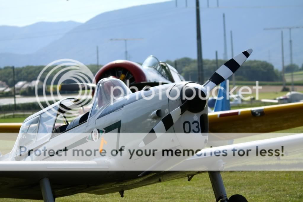 65d08989.jpg