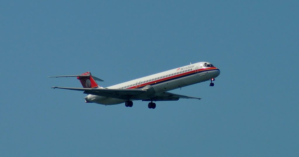 DSC_0488.jpg