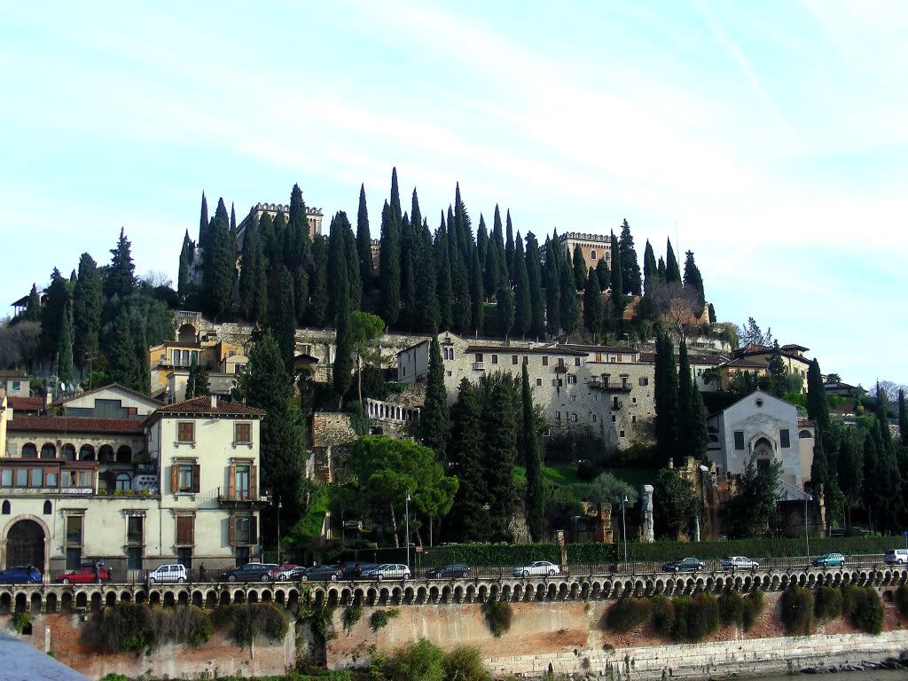 DSCN8537_edited-1.jpg