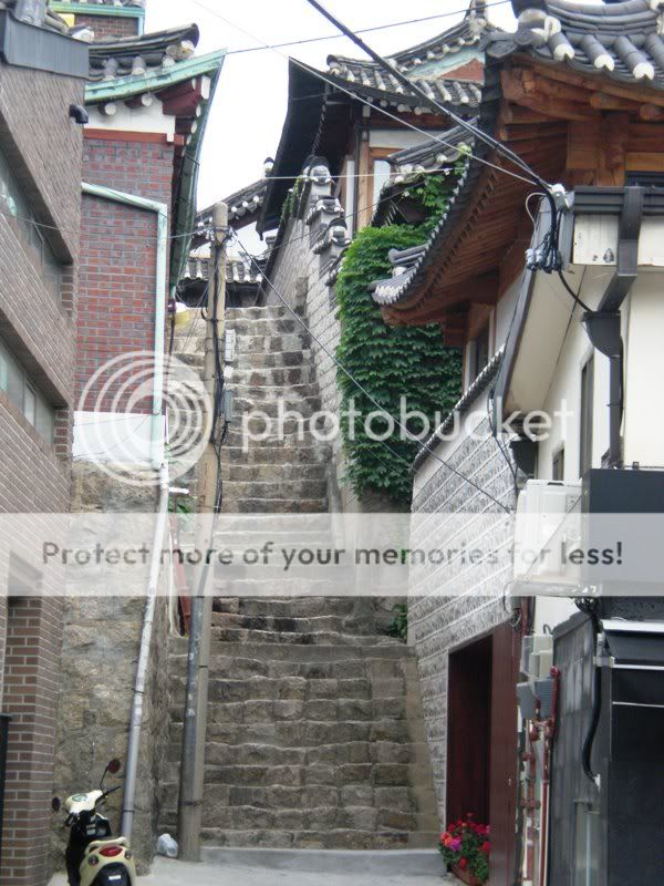 DSCN2615.jpg