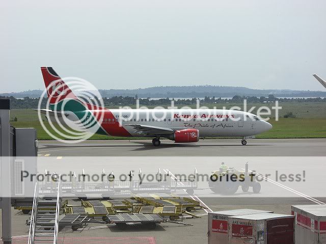 CIMG3290.jpg