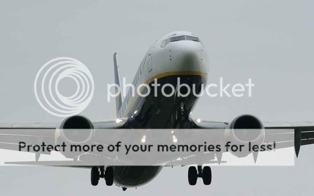 IMG_7579.jpg