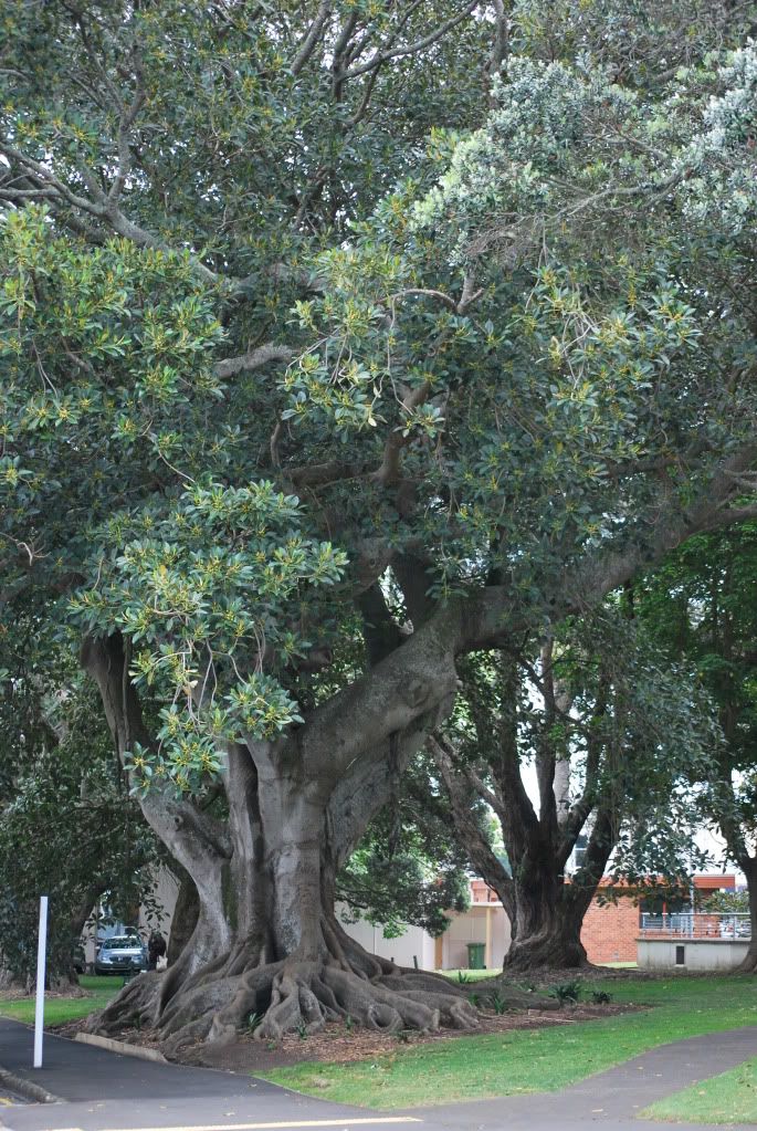 DSC_9747.jpg