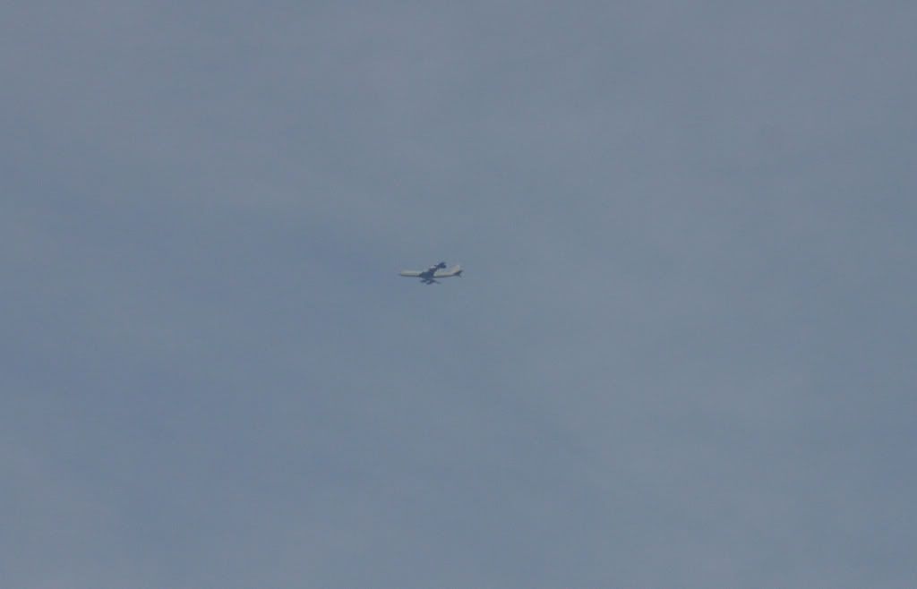 CRW_6559_JFR.jpg