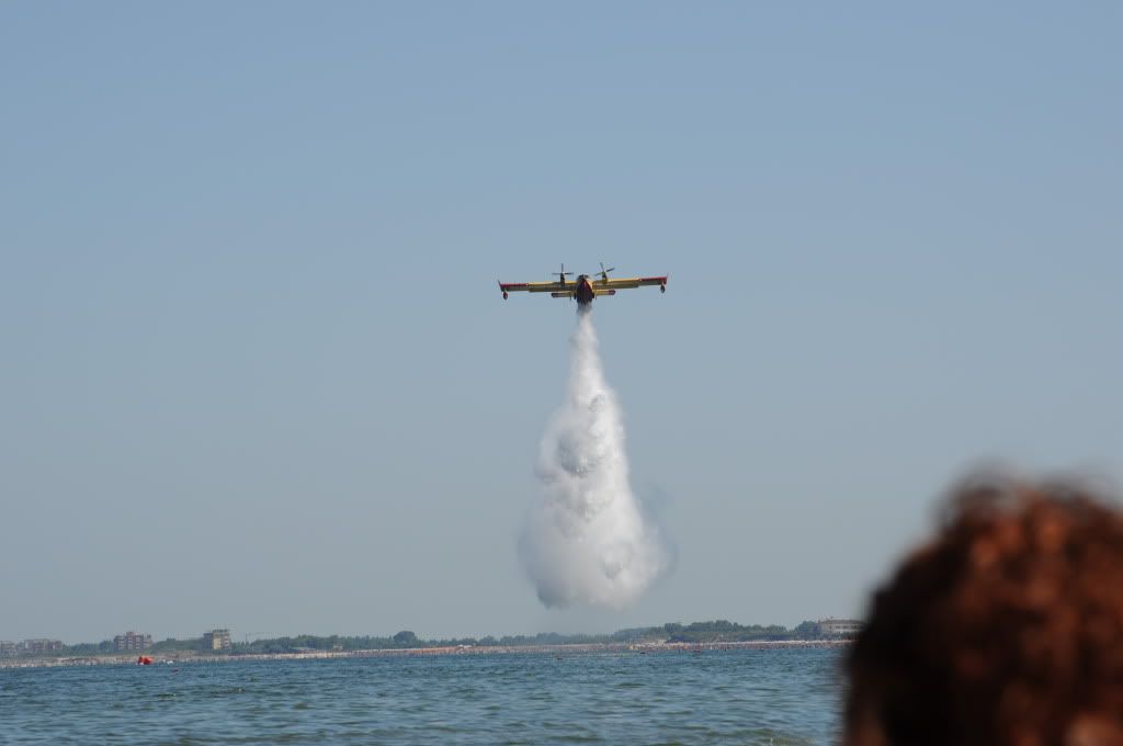 DSC_0306.jpg