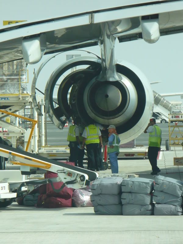 P1020157.jpg
