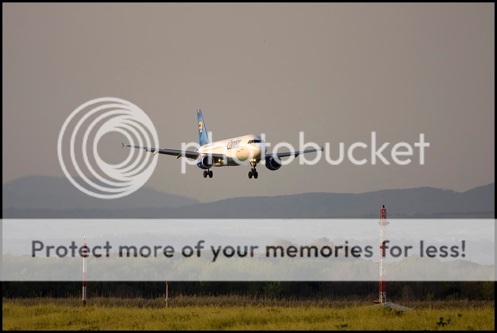 041_condor__jf.jpg