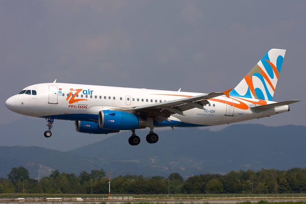 TC-IZHc.jpg