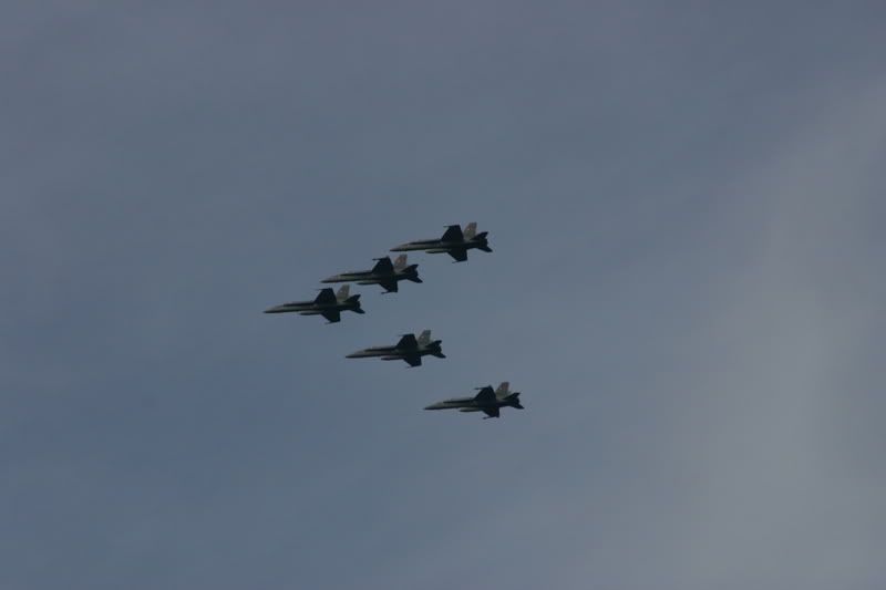 IMG_5955.jpg