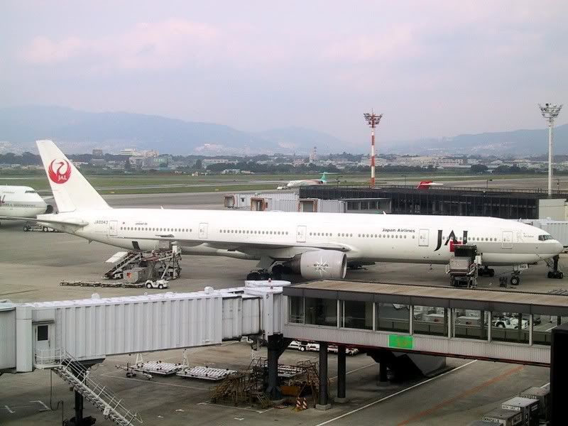 jal773_6.jpg