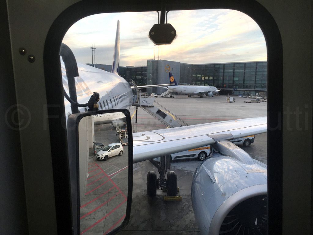 320NEO_063.jpg