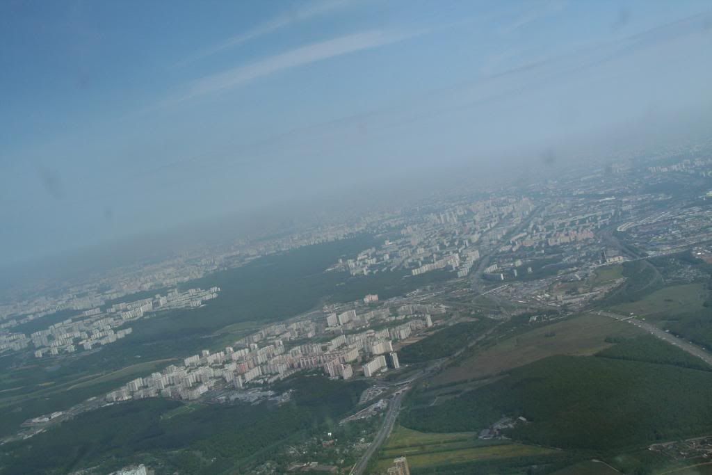 mosca72.jpg