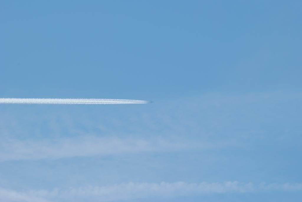 DSC_0555.jpg