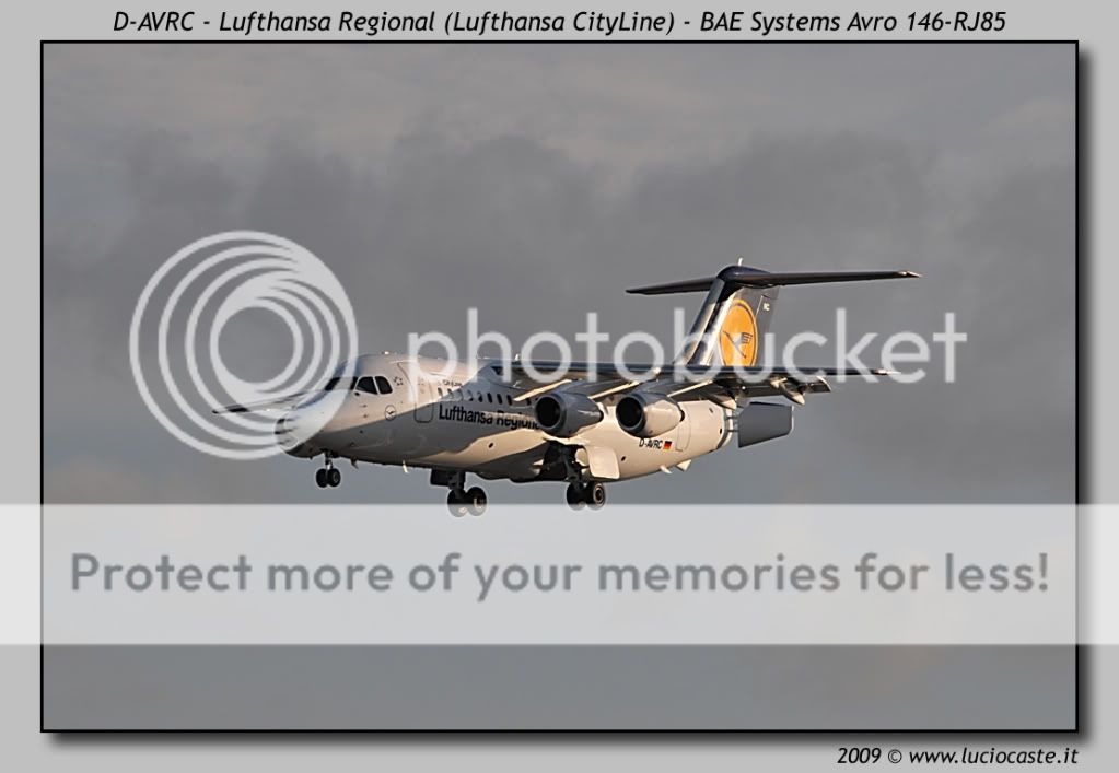 D-AVRC.jpg