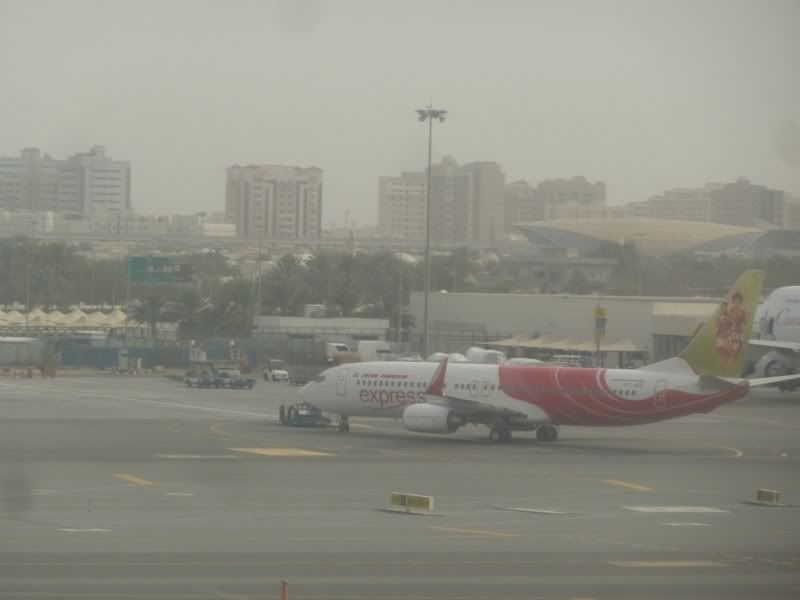 P1110430.jpg