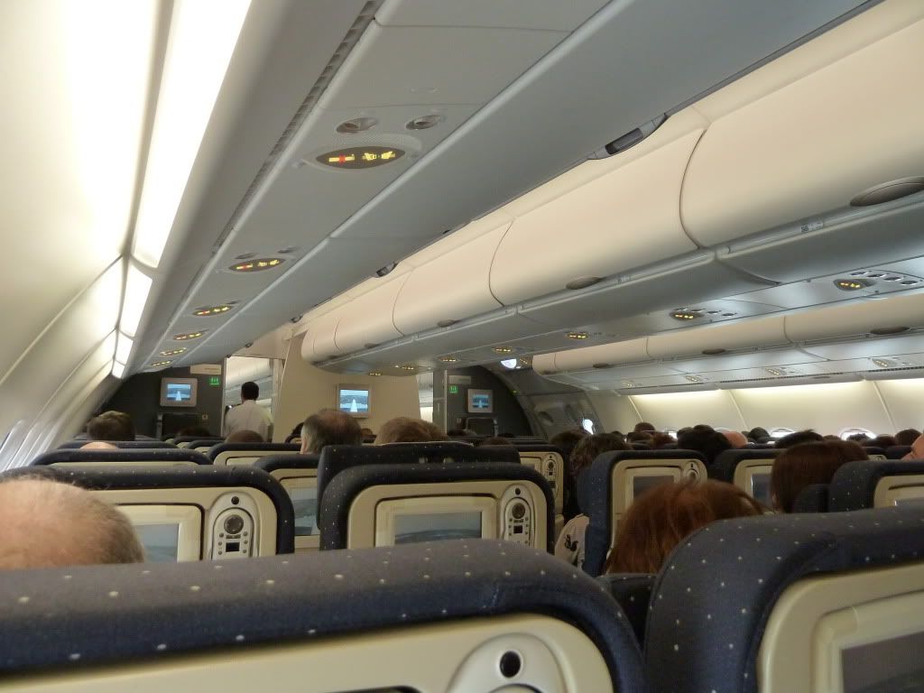 P1000290.jpg