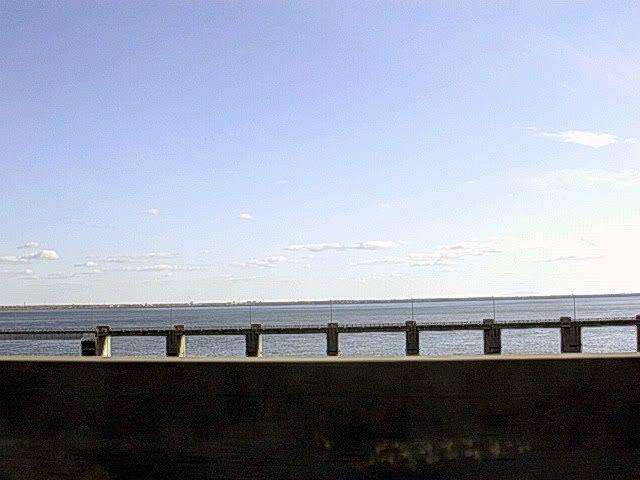 DSCN8943.jpg