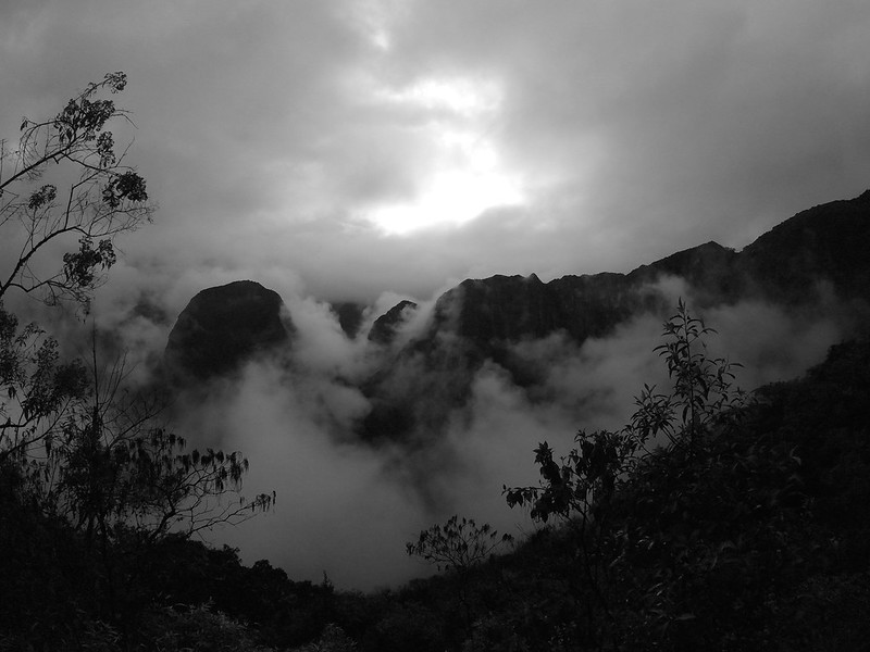 29389780900_fa5c747682_c.jpg