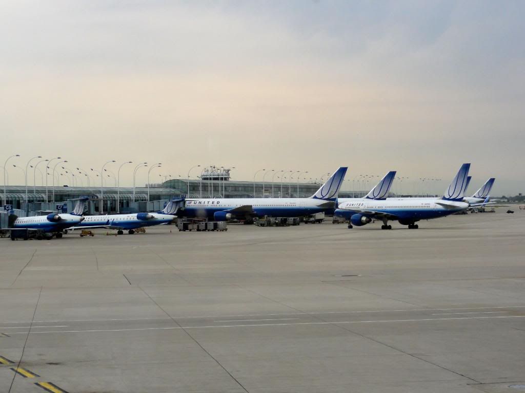 DSC03320.jpg