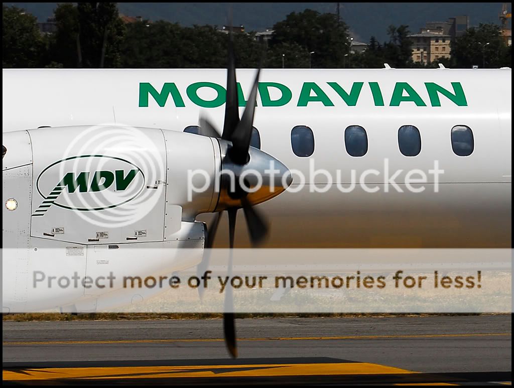 094_MOLDAVIAN__jf.jpg