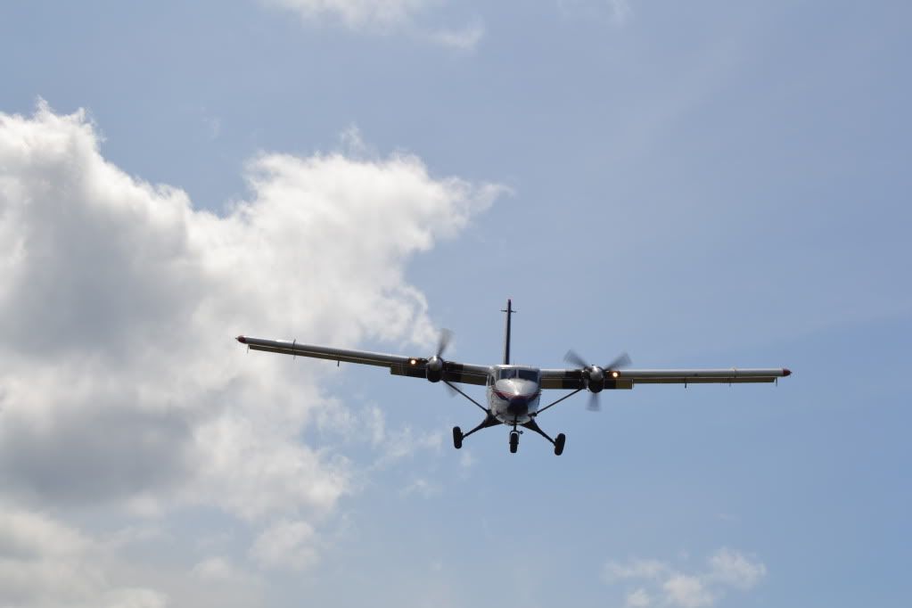 DSC_0380.jpg