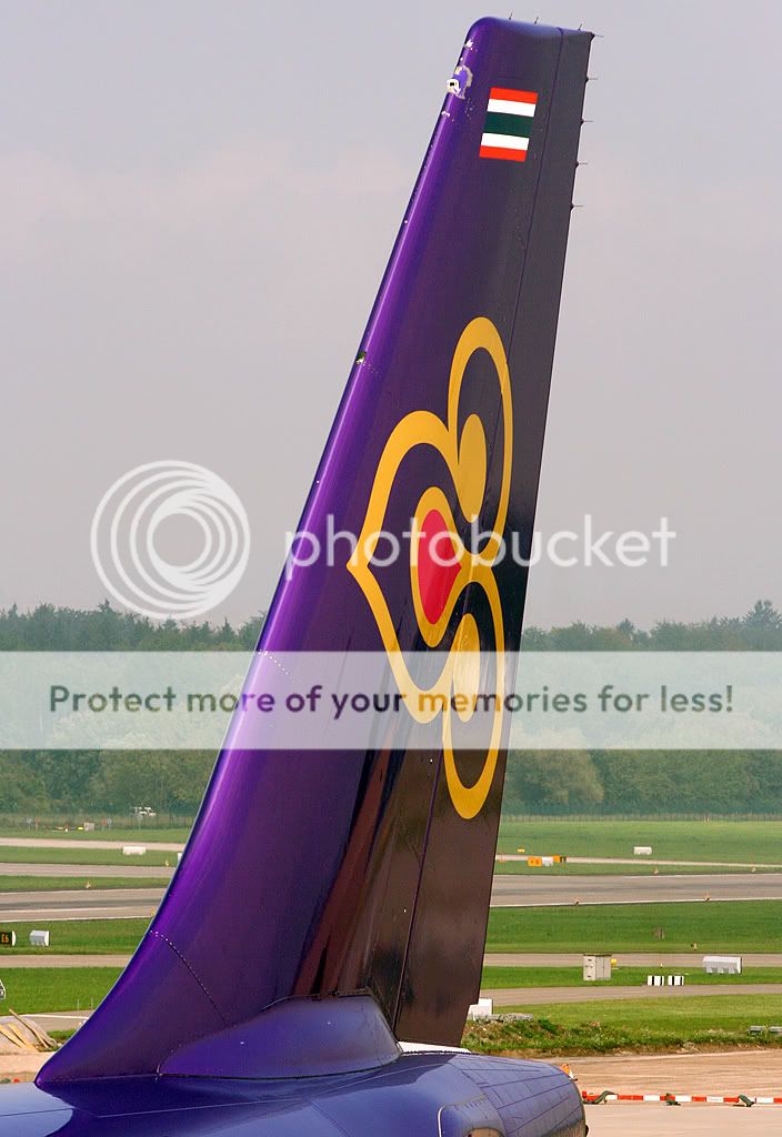 Tail.jpg