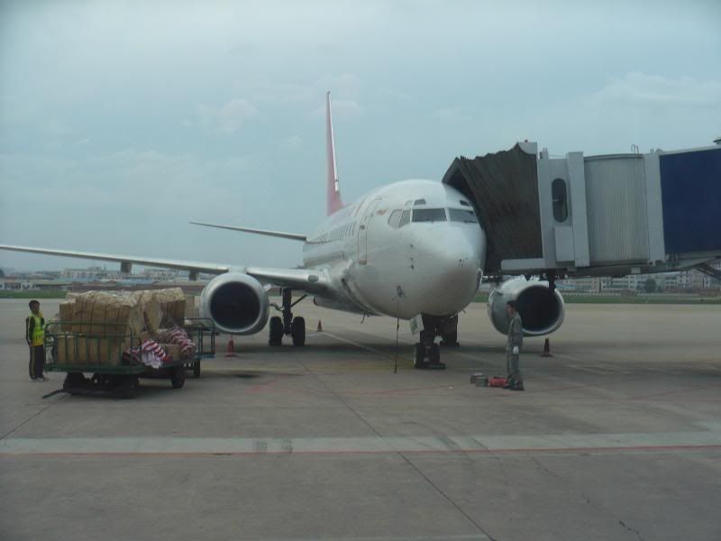 P1000941.jpg