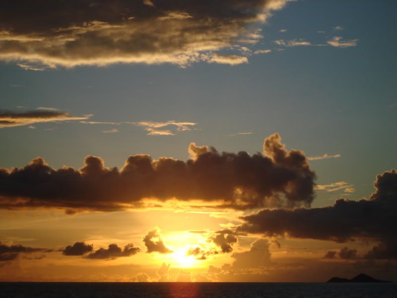 DSC00873-1.jpg