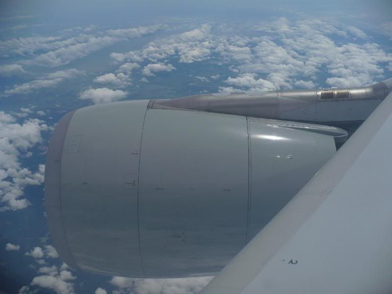 P1000305.jpg
