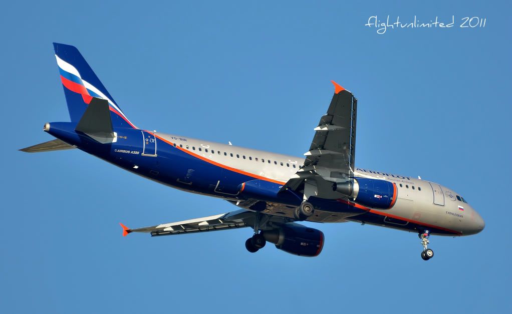 DSC_3494.jpg