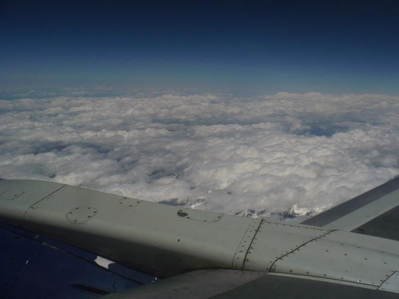 P1010692.jpg