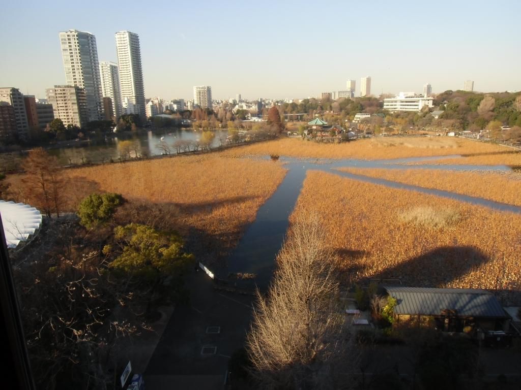 CIMG0918_zps52c2a2af.jpg