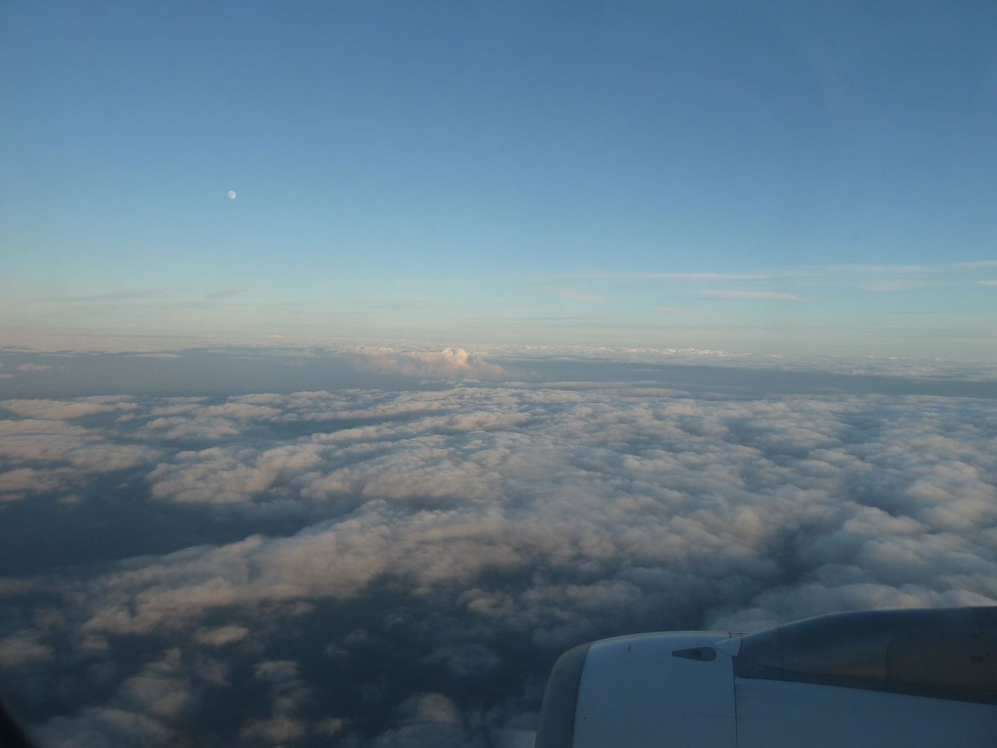 P1020543.jpg