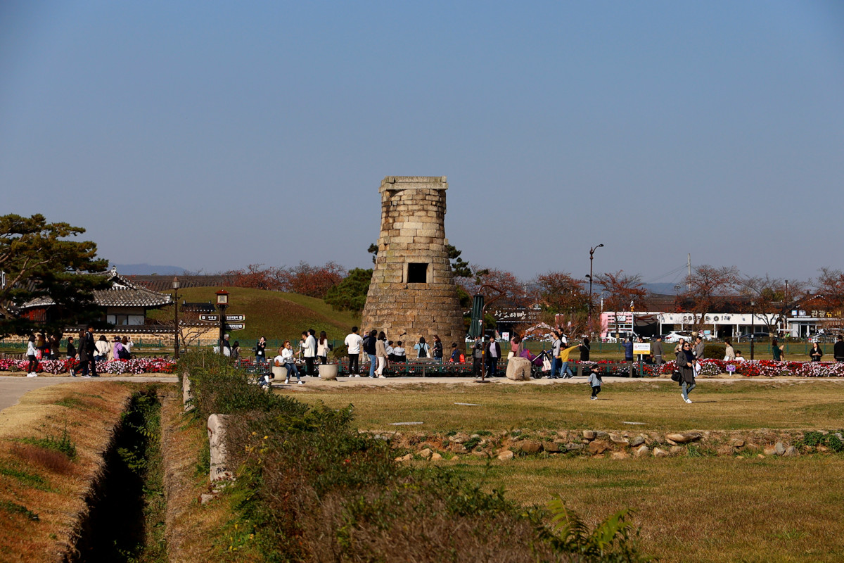 230.jpg