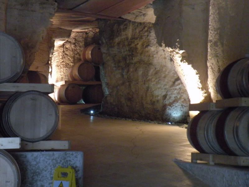 DSCN4538.jpg