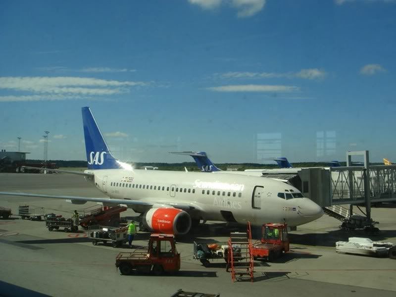 DSC01378.jpg