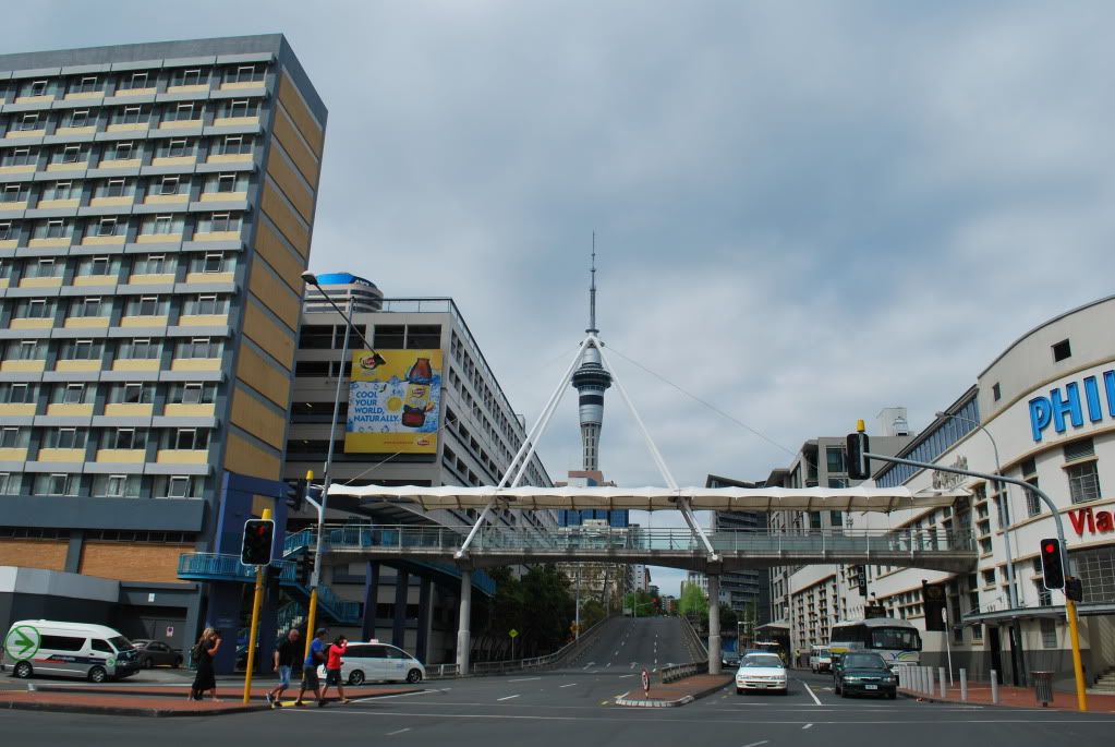 DSC_9382.jpg