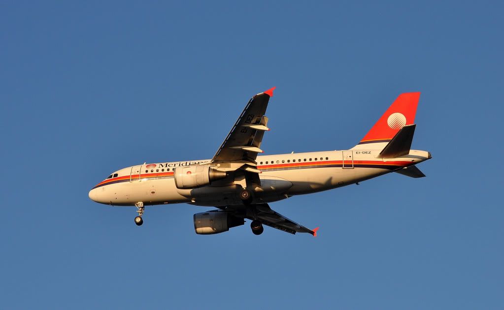DSC_2023-1.jpg