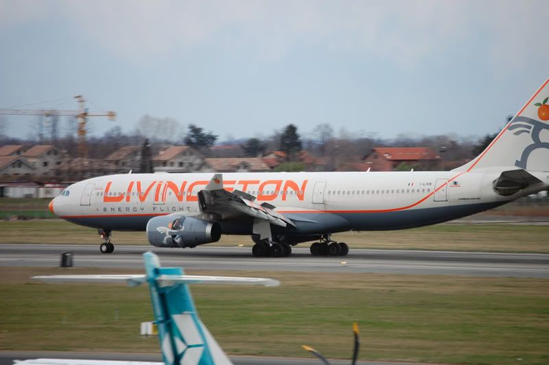 A3302.jpg