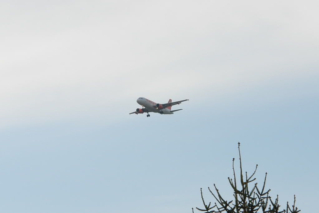 DSC02037.jpg