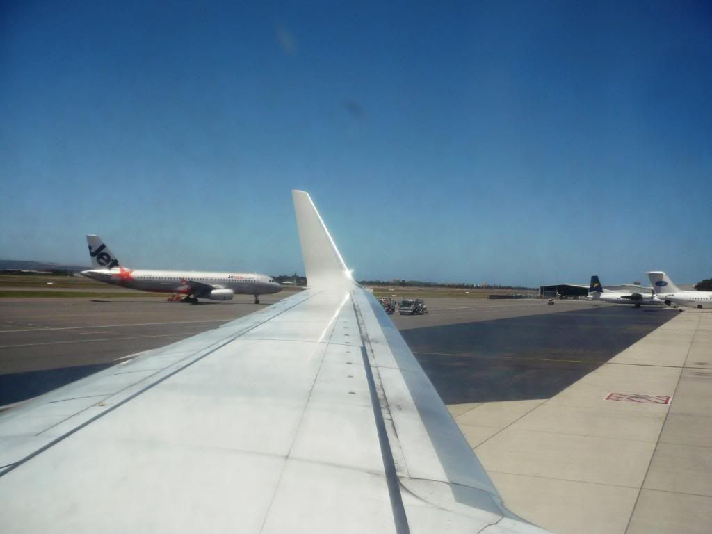 P1000178.jpg