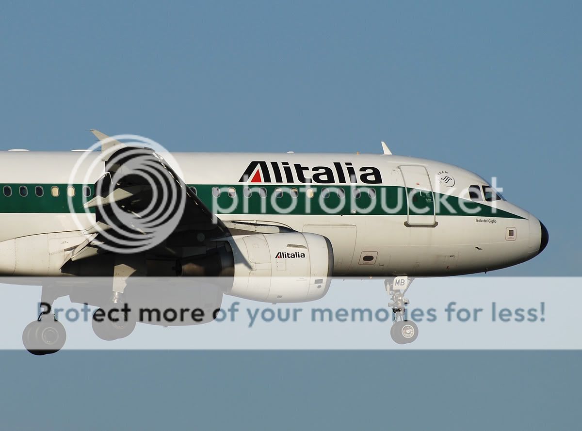 I-BIMB.jpg