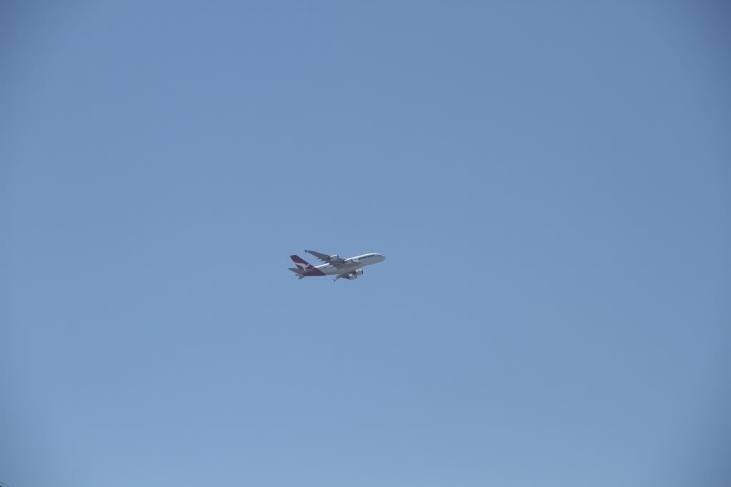 ATR131-1.jpg