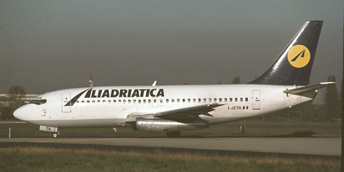 aliad4.jpg