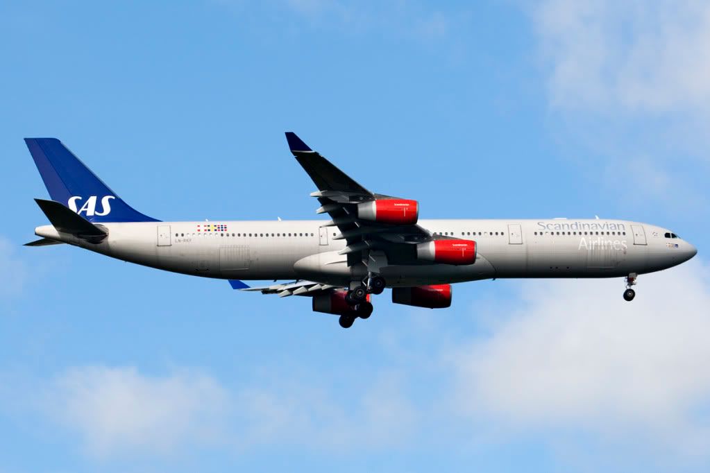 LN-RKF.jpg