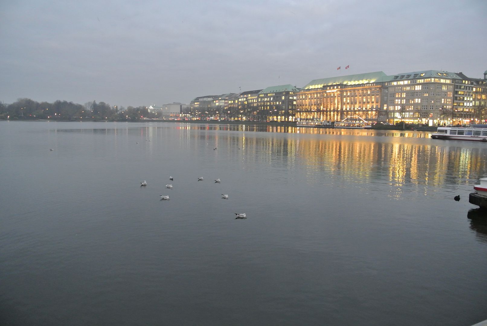 DSC_1480.jpg